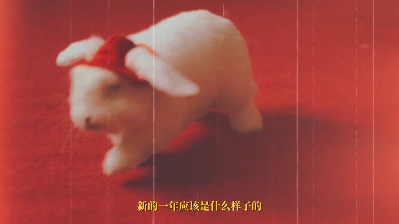 《薇诺娜兔年广告》