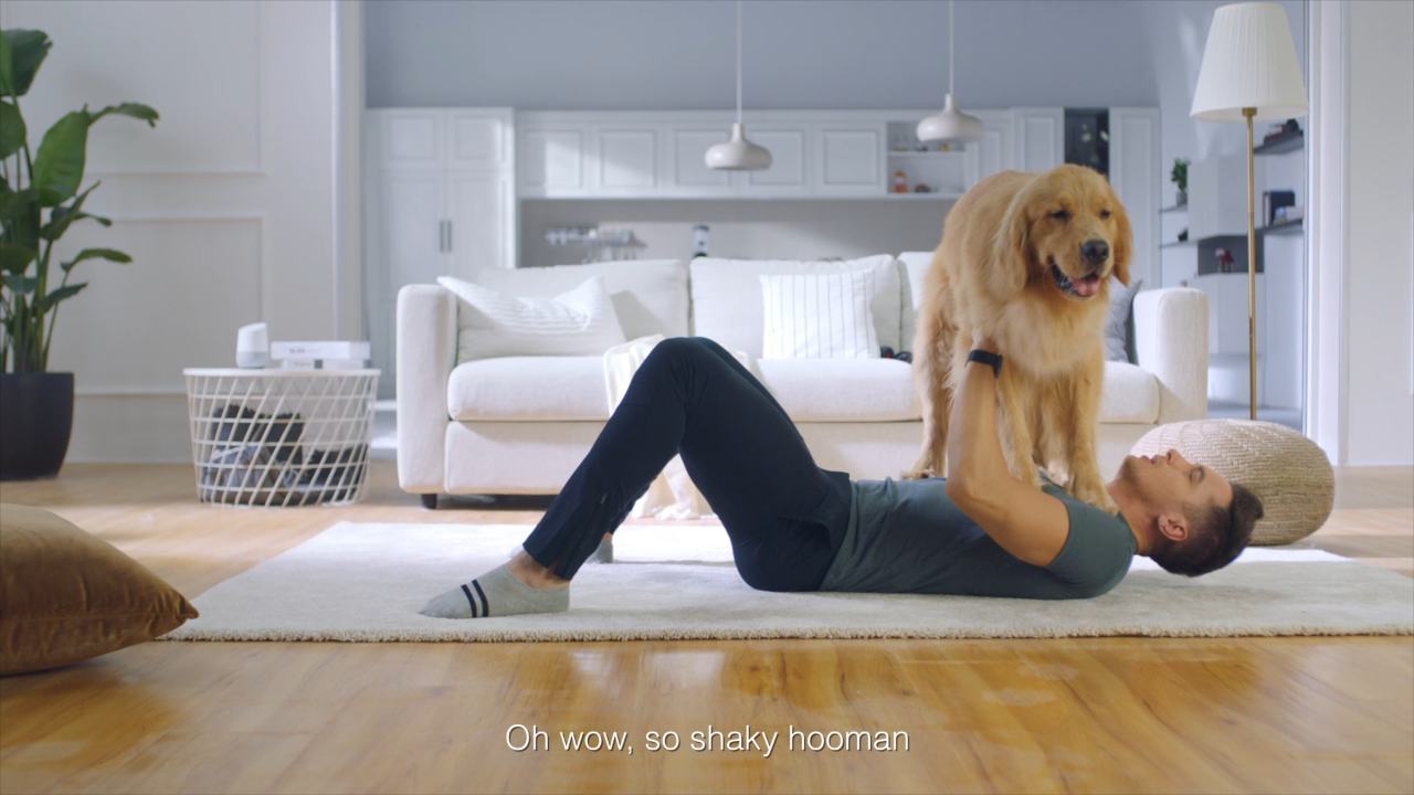 《Alexa 北美区卖点篇》